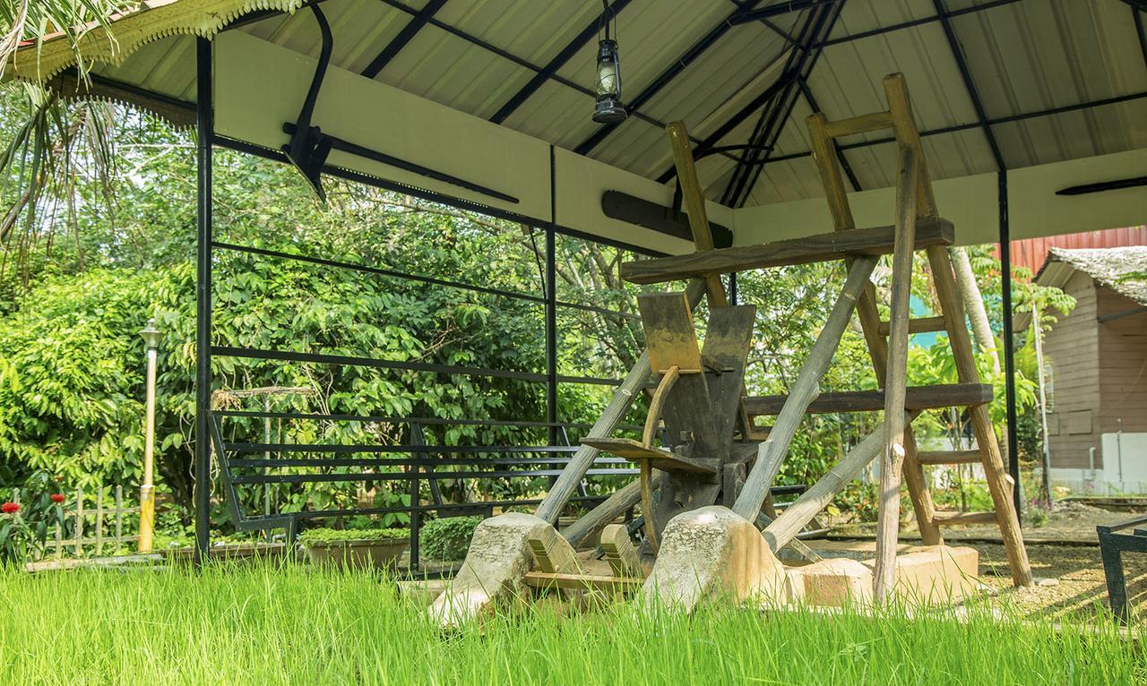 Mango Meadows Hotel Kottayam Bagian luar foto
