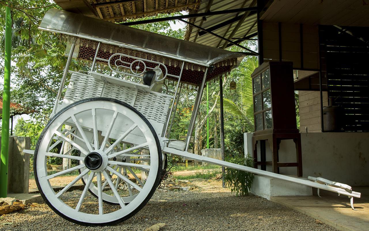Mango Meadows Hotel Kottayam Bagian luar foto