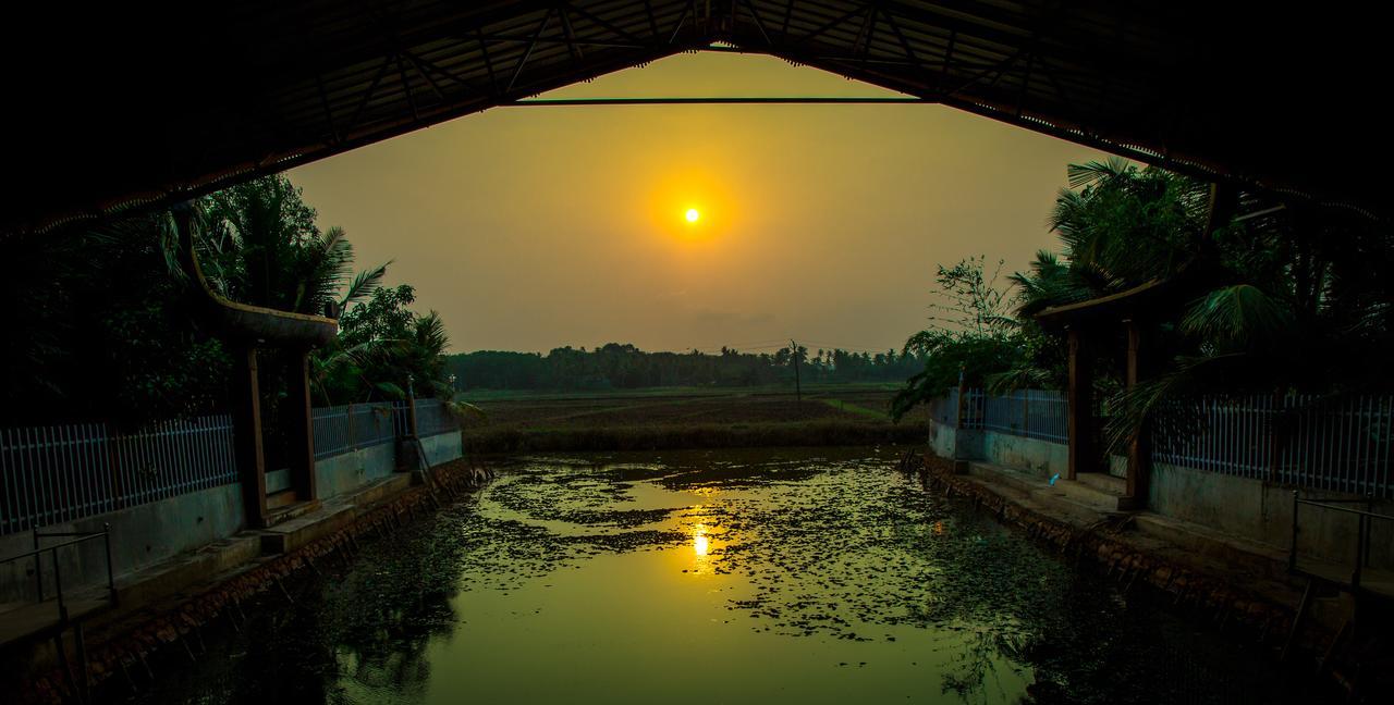 Mango Meadows Hotel Kottayam Bagian luar foto
